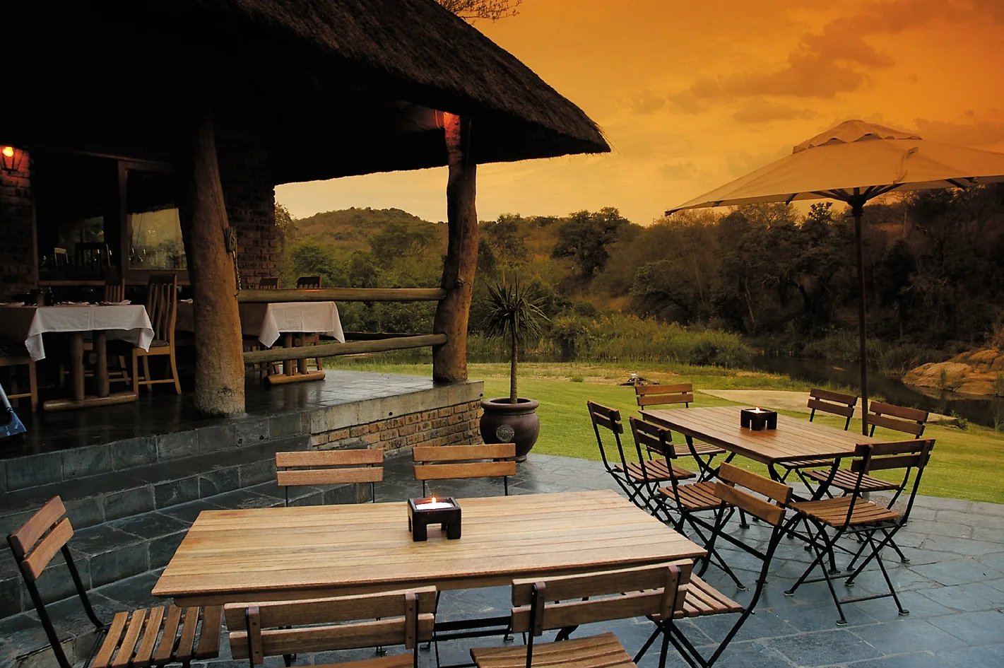 All Safari Experiences