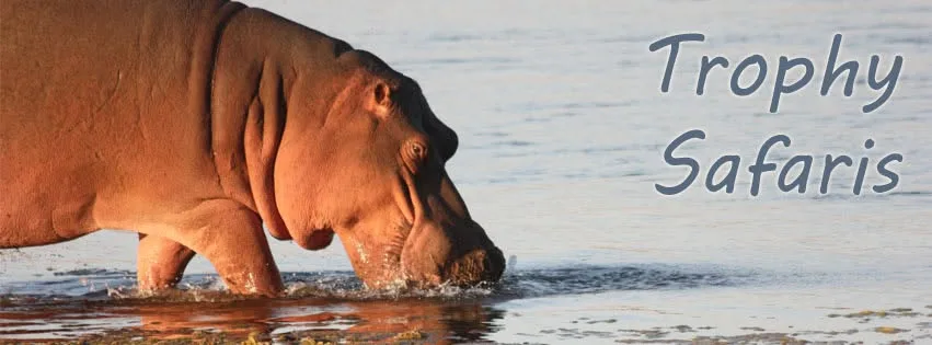 Trophy Safaris