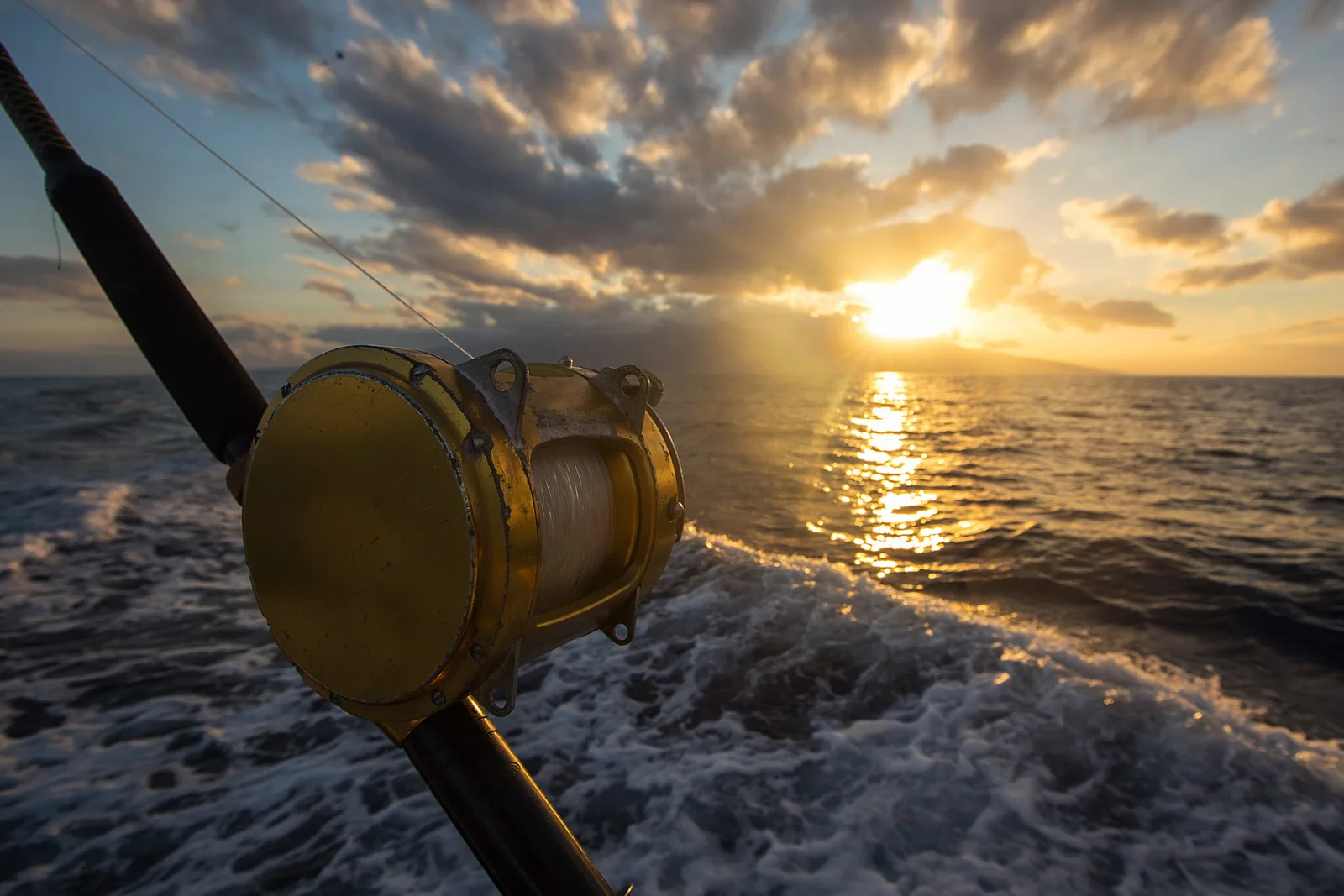 Fishing Safari