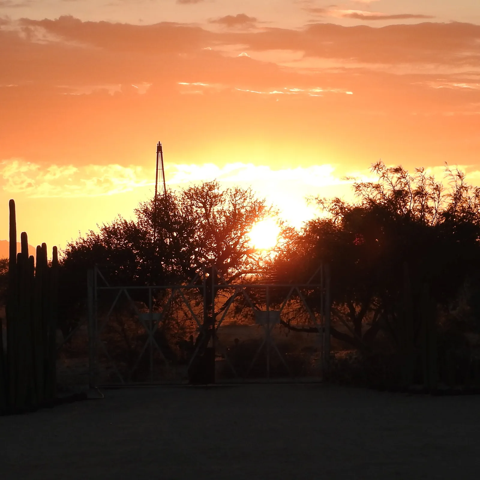 Wilsonfontein Hunting Safaris