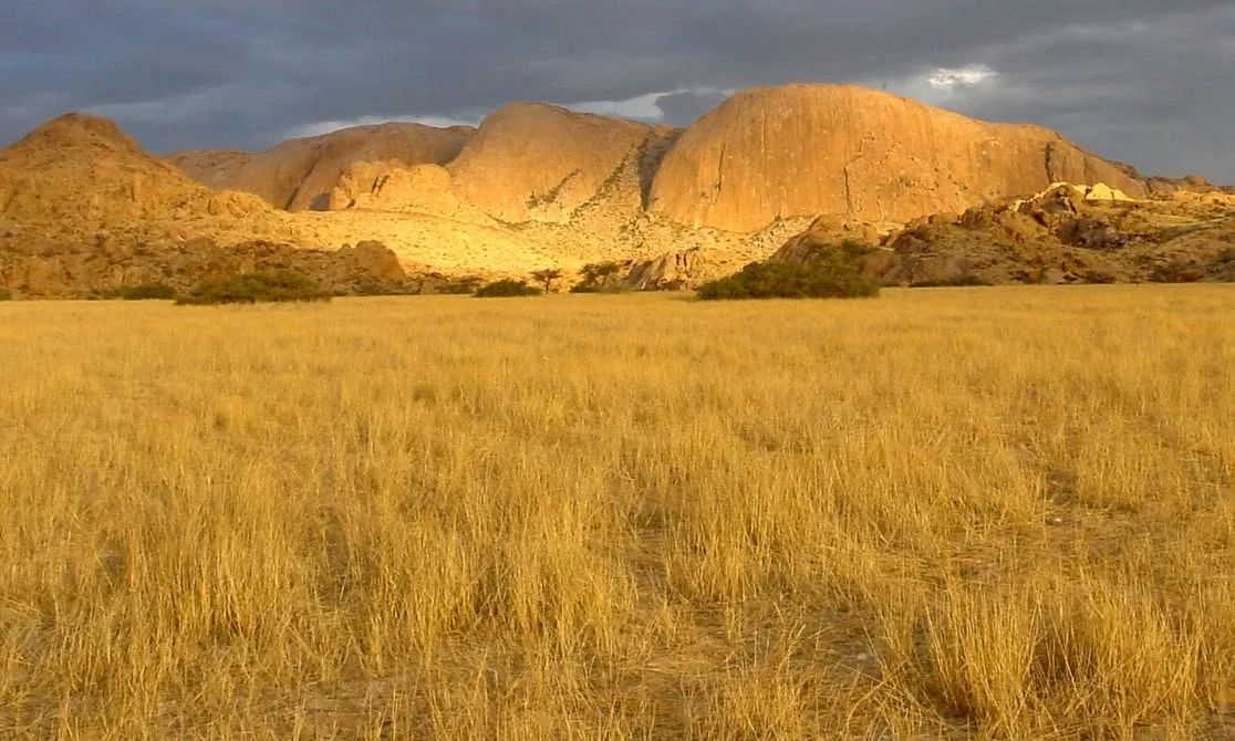 Wilsonfontein Hunting Safaris