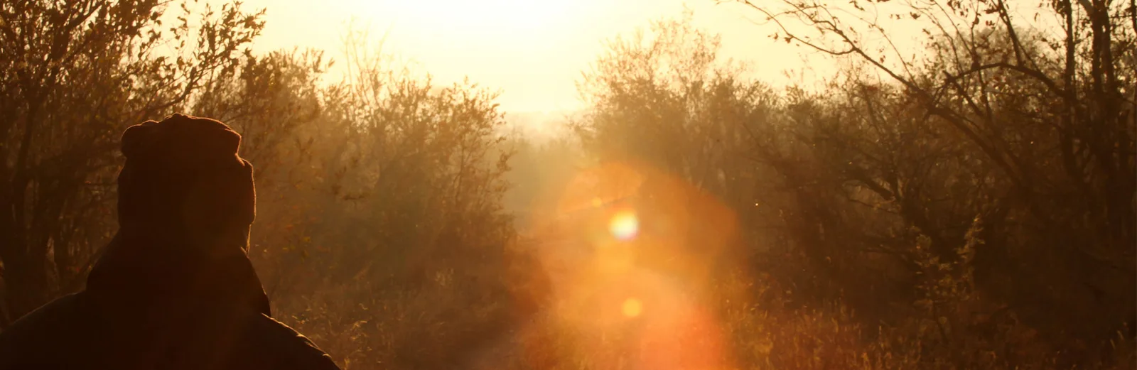 Witkop Safaris