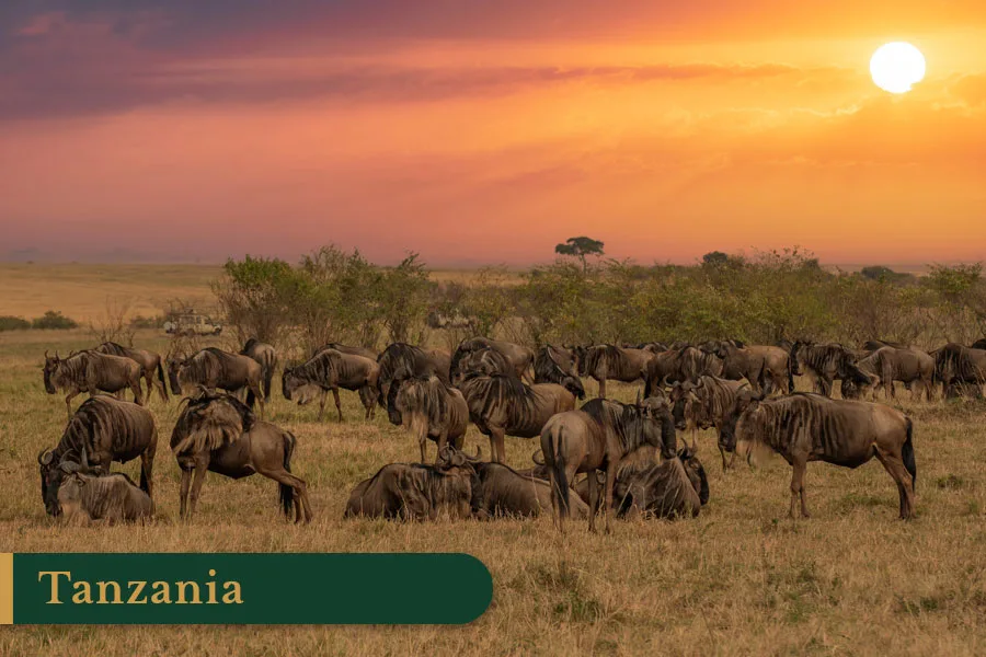 Hunting in Tanzania