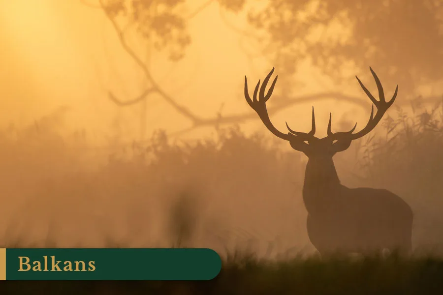 Hunting in Balkans