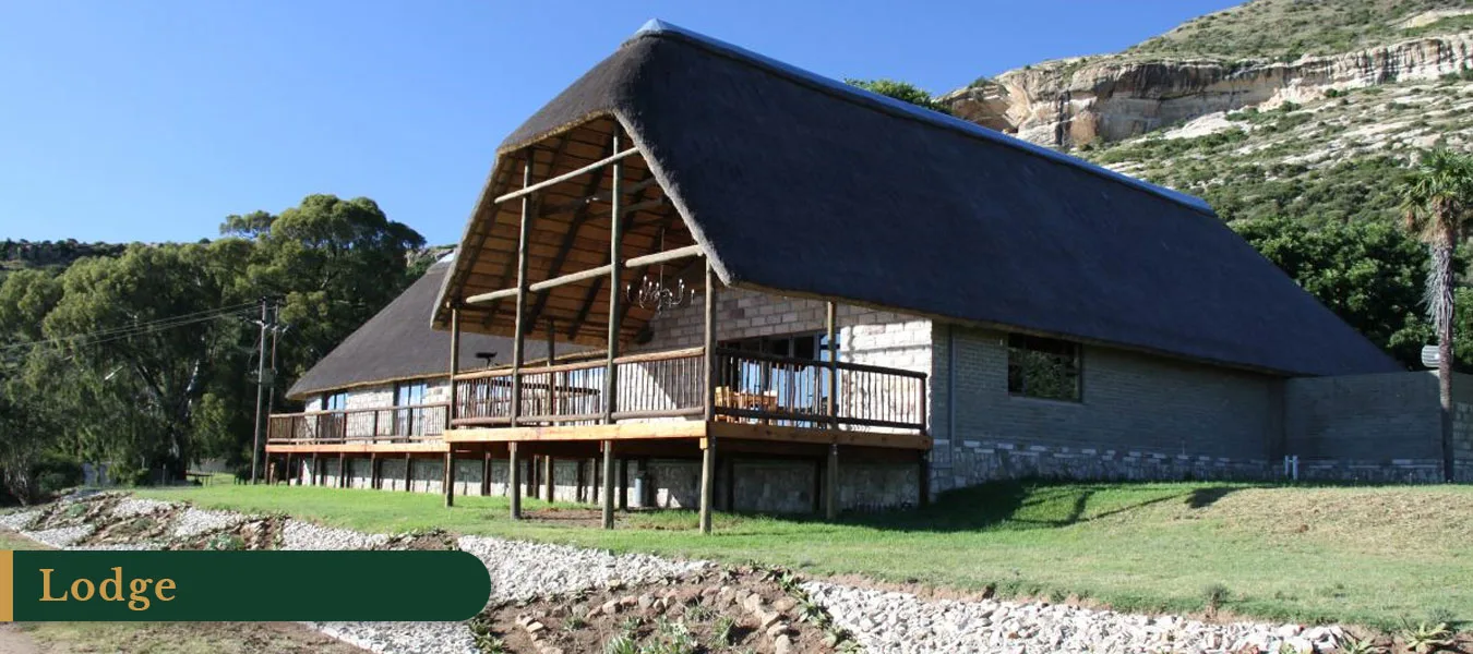 Witkop Safaris Lodge