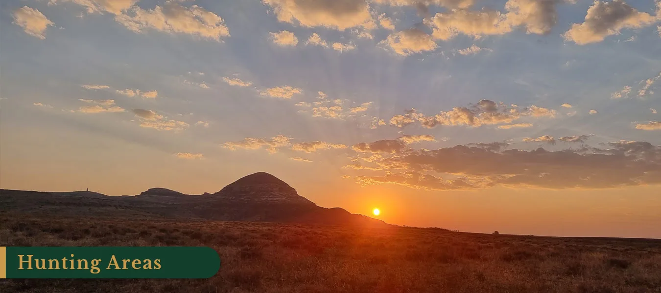 Witkop Safaris Hunting Safaris