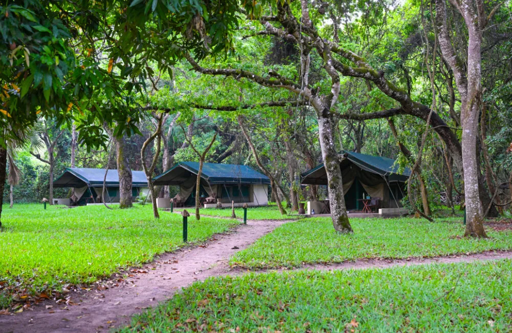 Zambeze Delta Safaris