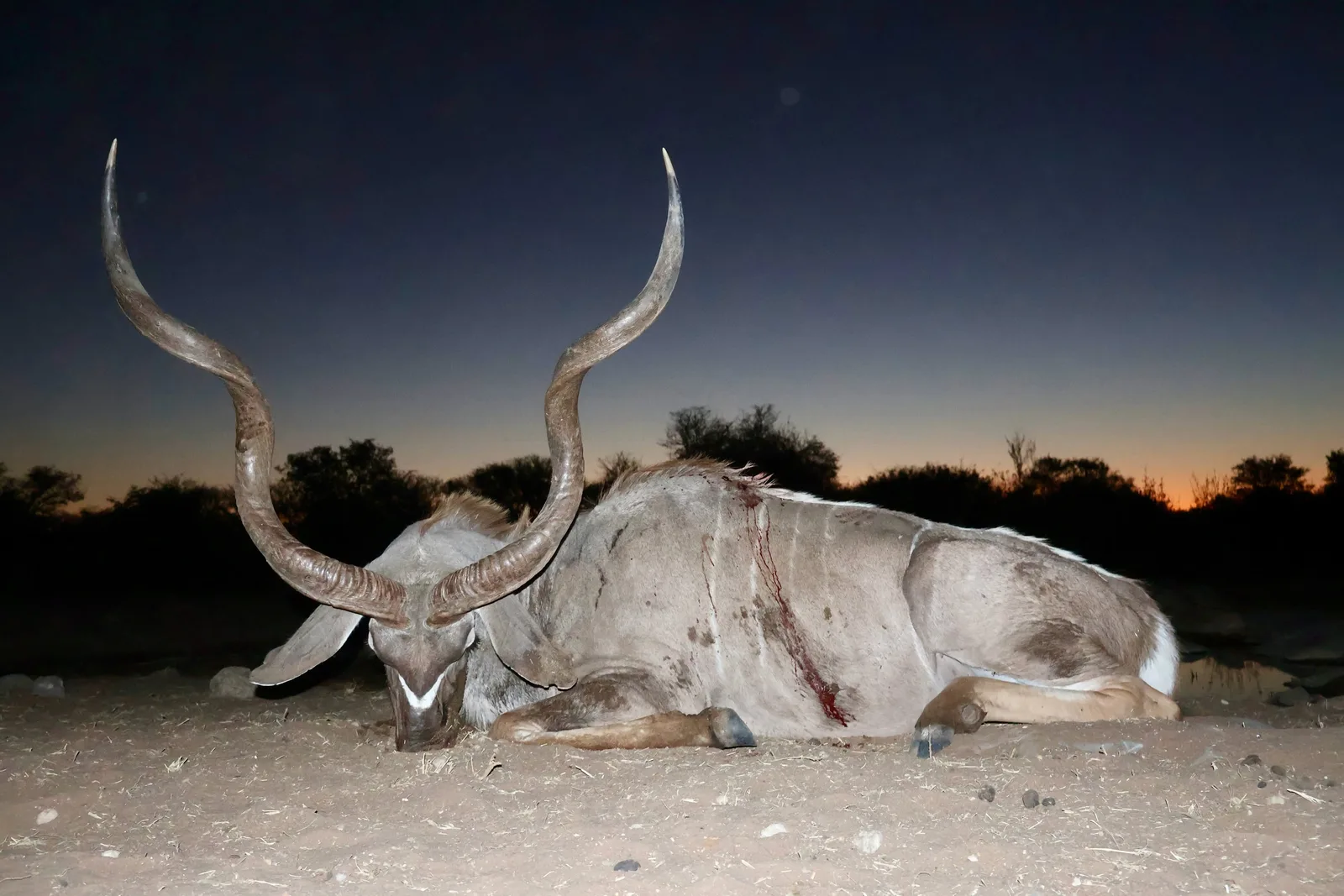 Zana Botes Safaris CC
