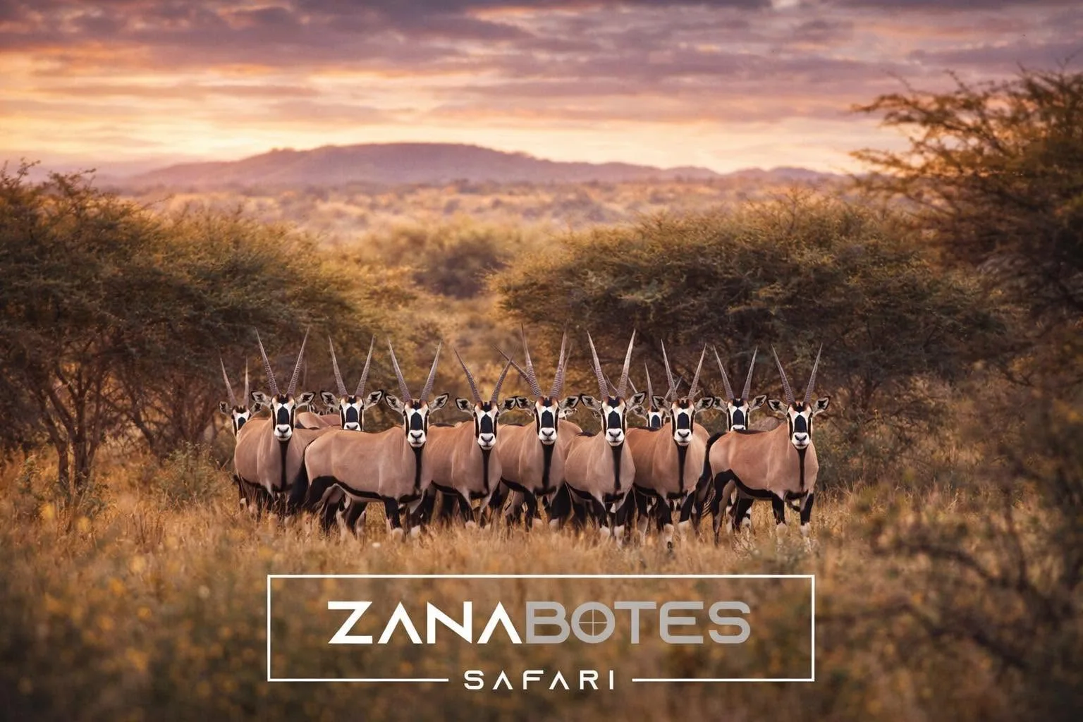Zana Botes Safaris CC