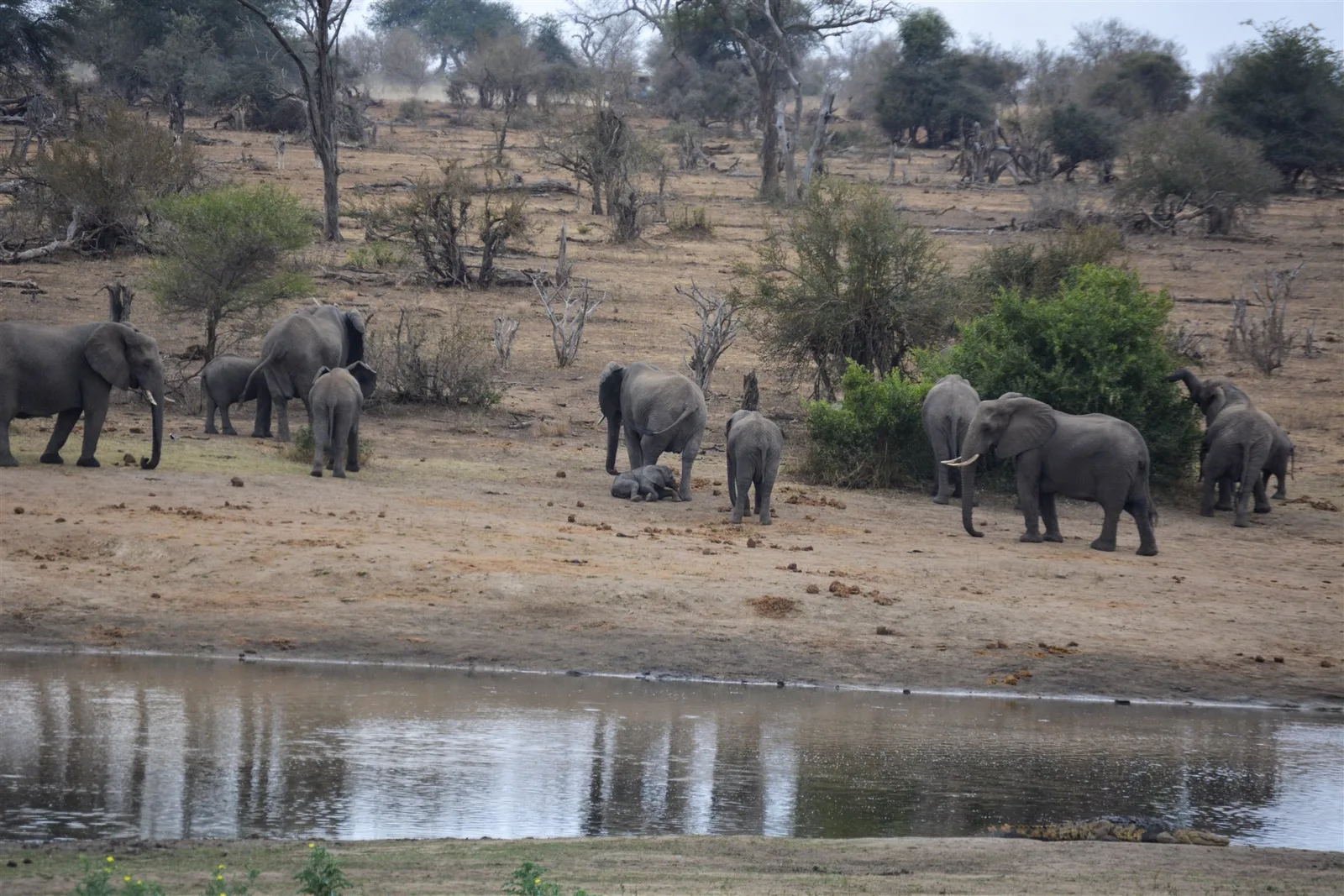 Kruger and Blyde River Canyon itinerary