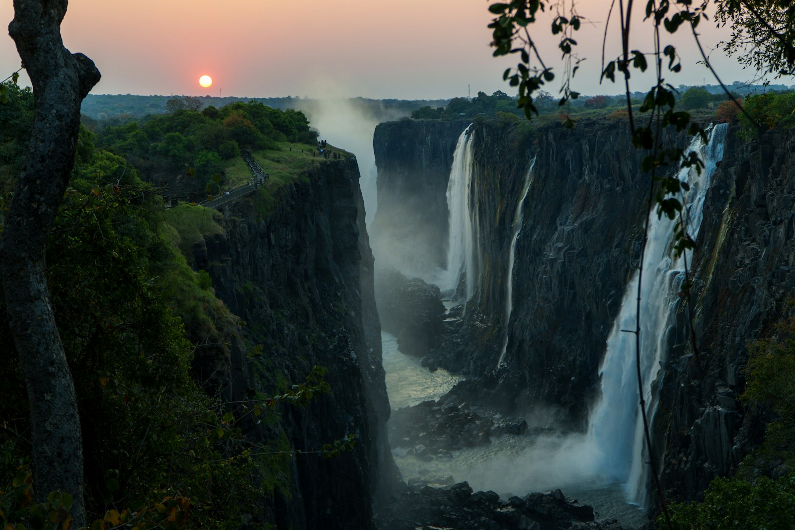 Lush green rainforest foliage around Victoria Falls, Zimbabwe