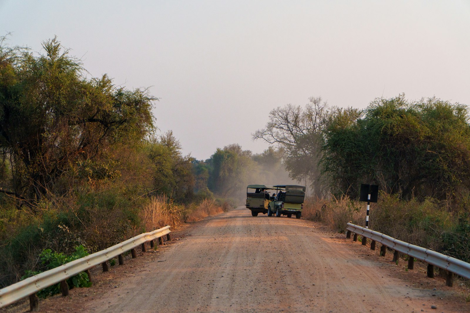 Safari vehicles on a dusty track at golden hour in South Luangwa, Zambia