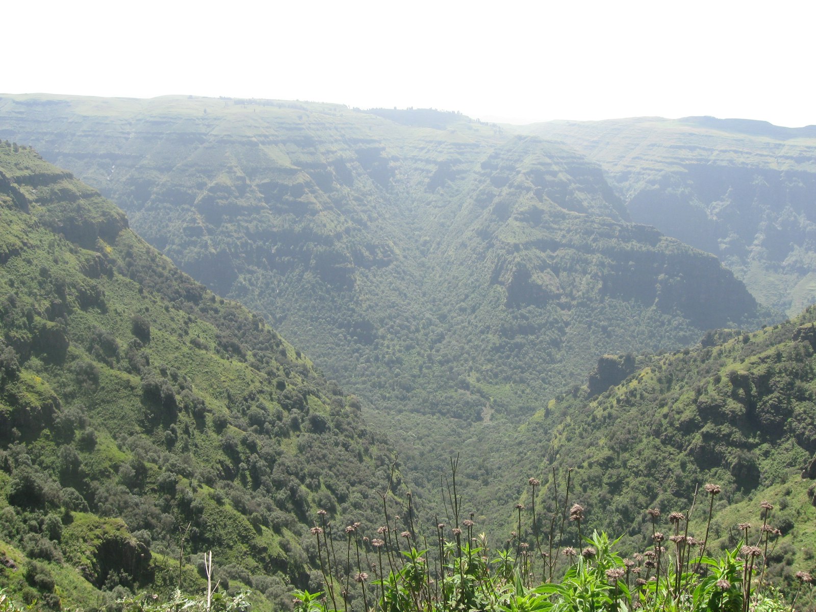 Deep green highland valleys and rugged escarpments in the Ethiopian mountains