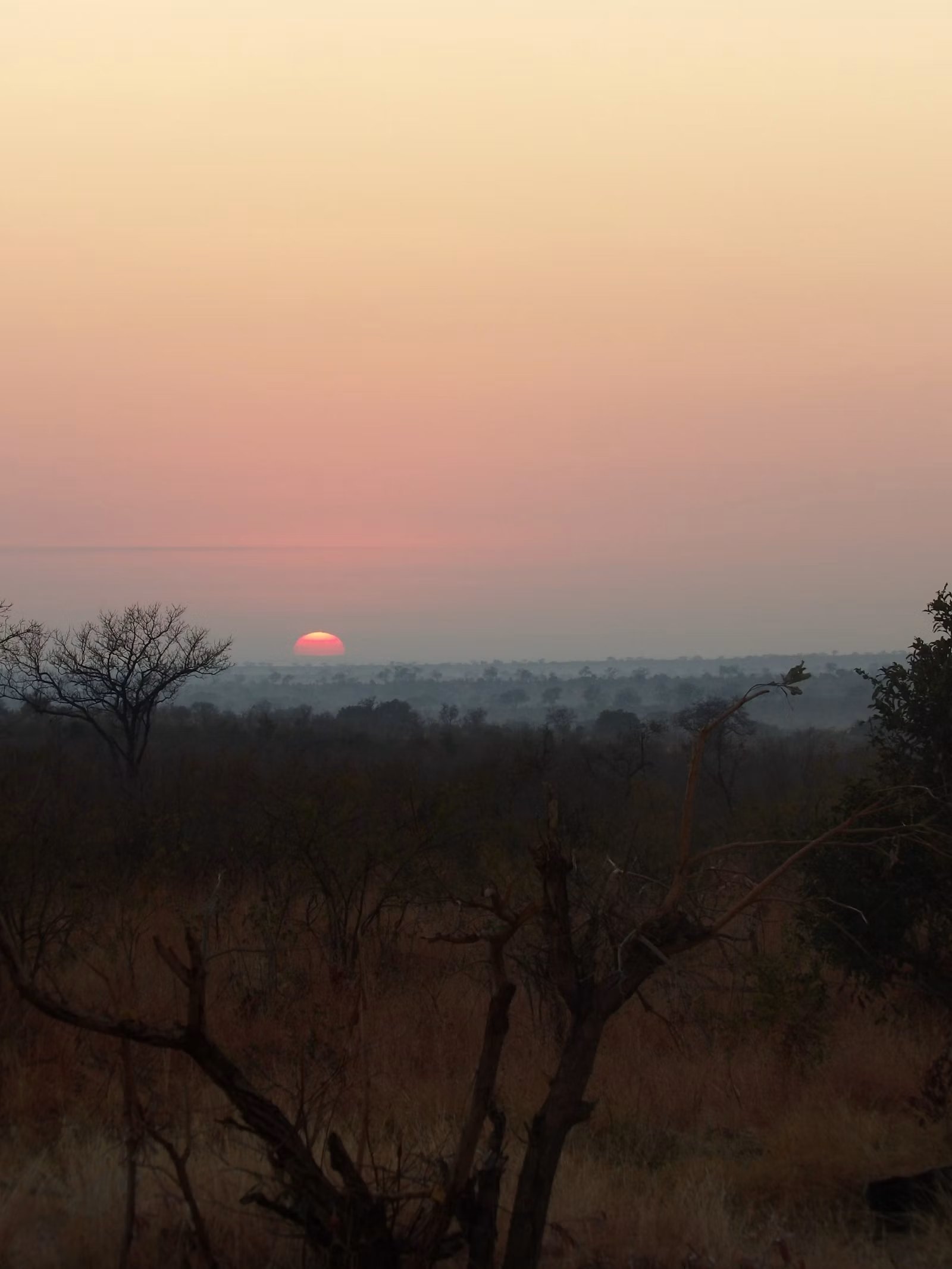 Sunset over a savanna landscape with trees in Kruger National Park, South Africa