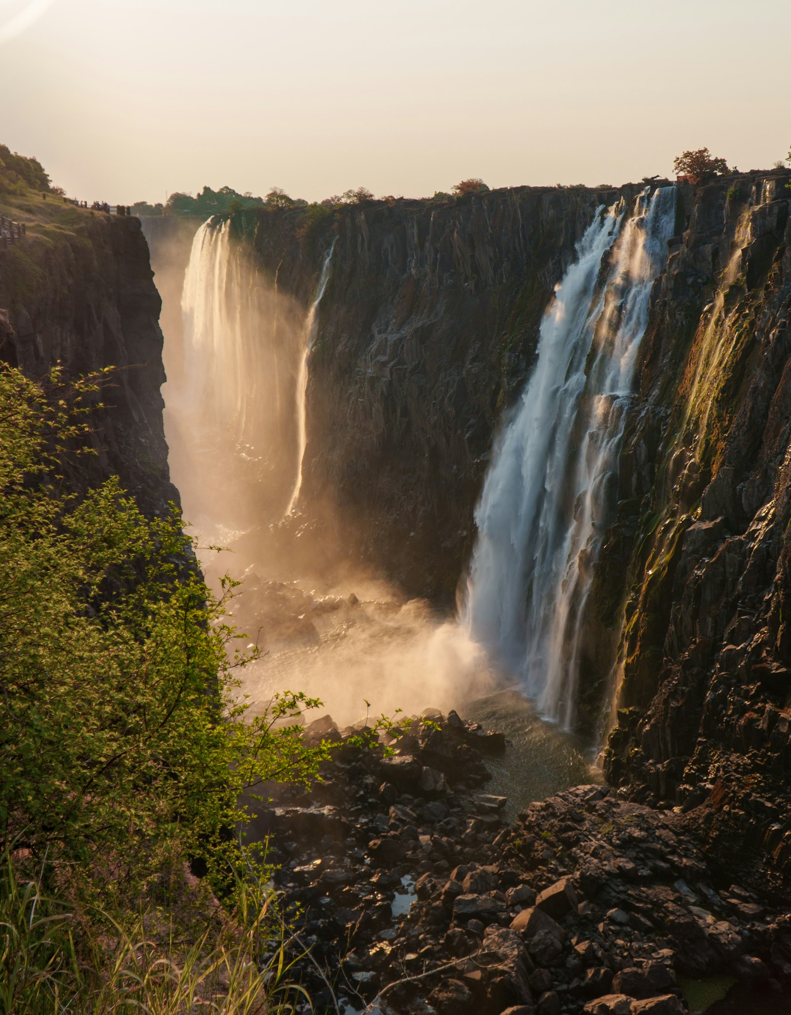Waterfall mist through dense forest canopy at Victoria Falls, Zimbabwe