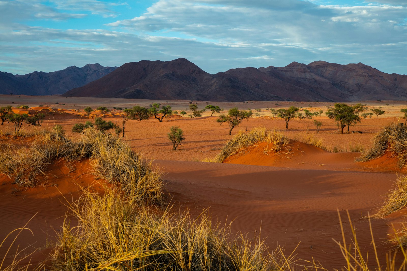 Trees and mountain ridges under blue sky in Namibia