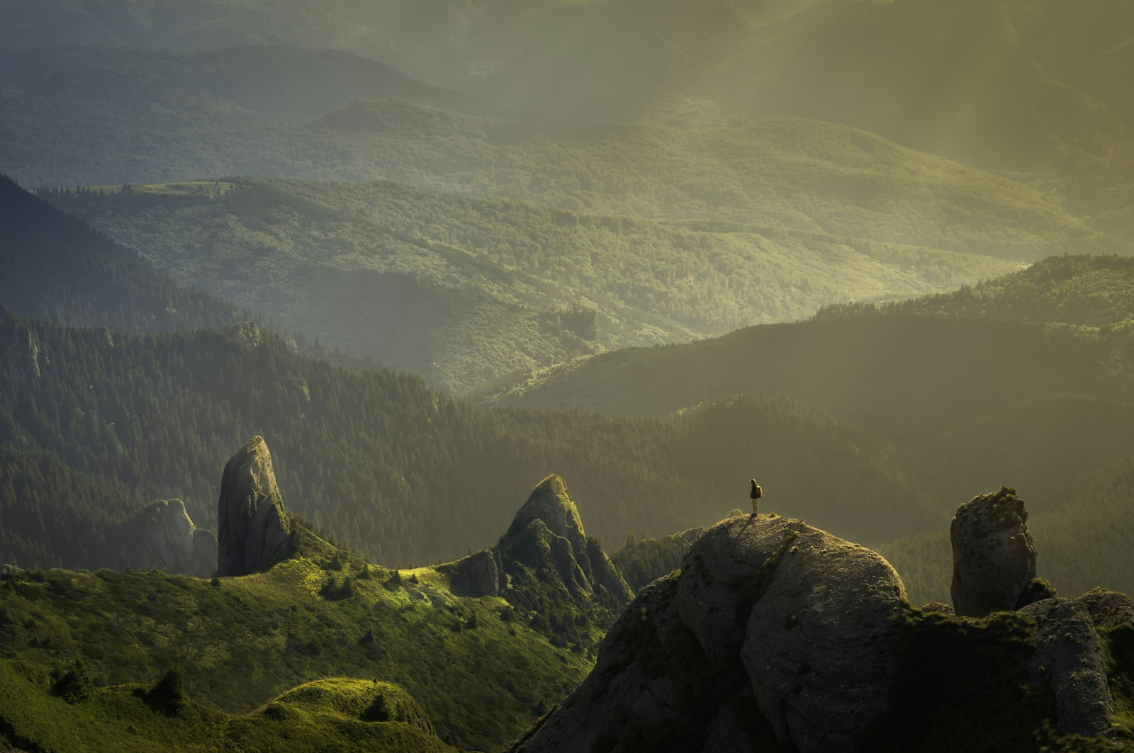 Forested mountain ridges and rocky peaks in warm highland light