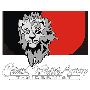 Collett's Wildlife Artistry